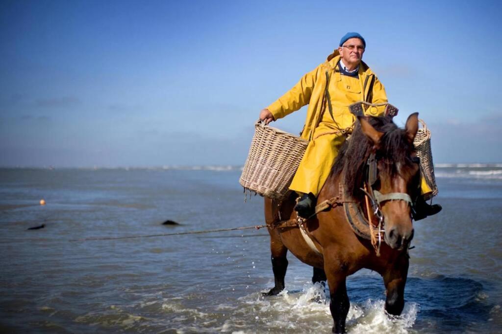 Zeezonzand Koksijde Esterno foto