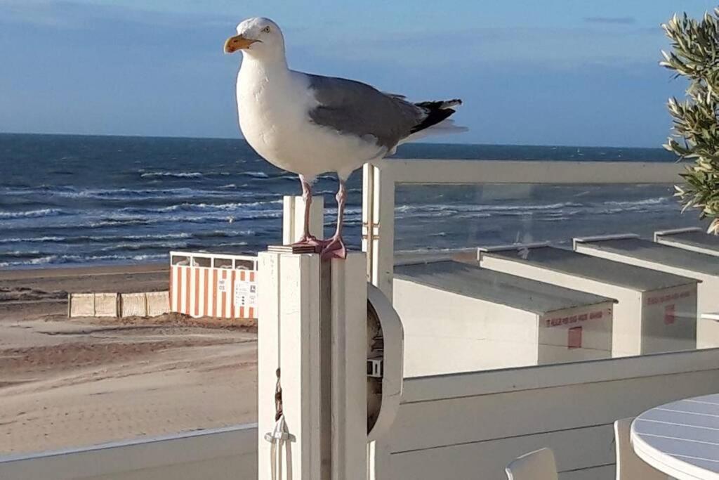 Zeezonzand Koksijde Esterno foto
